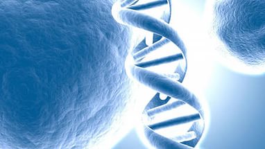 Генетики доказали, что вера исцеляет и меняет генетический код организма