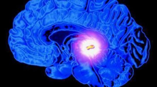 Шишковидное тело — квантовый компьютер в головном мозге